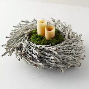 Anthropologie Terrain Botay & Cocos Nucifera Rolled Branch Basket Candles Plants